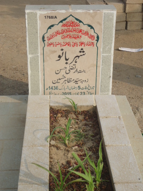 11768 – Sheher Bano