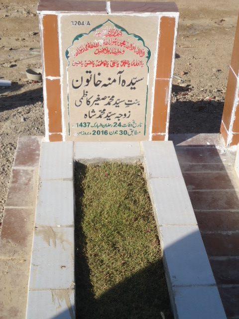 13204 – Syeda Amna Khatoon