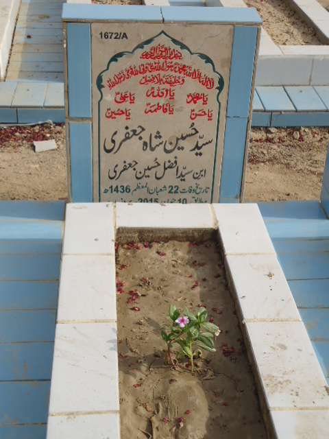 11672 – Syed Hussain Shah Jaffery