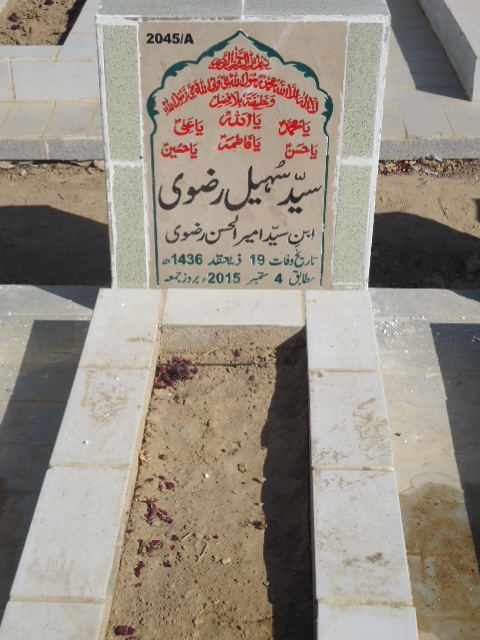 12045 – Syed Sohail Rizvi