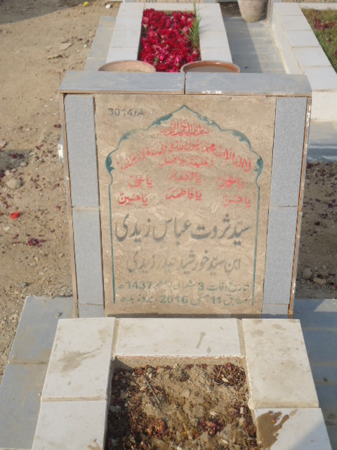 13014 – Syed Sarwat Abbas Zaidi