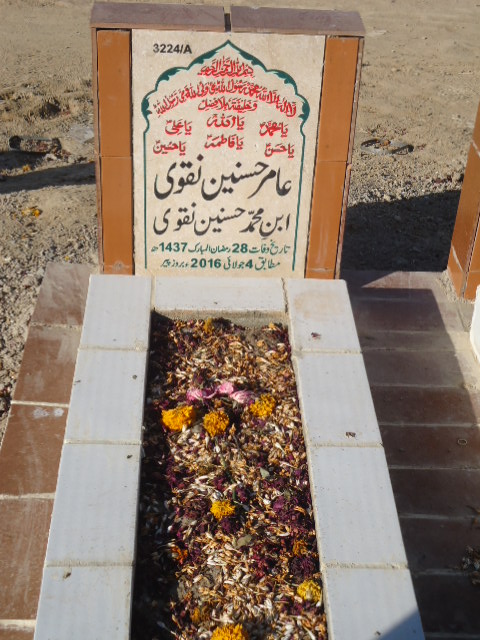 13224 – Amir Hasnain Naqvi