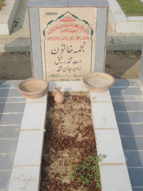 12905 – Najma Khatoon