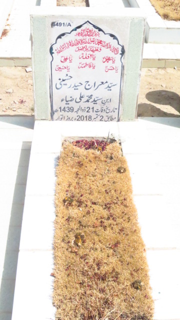 16491 – Syed Miraj Haider Hussaini