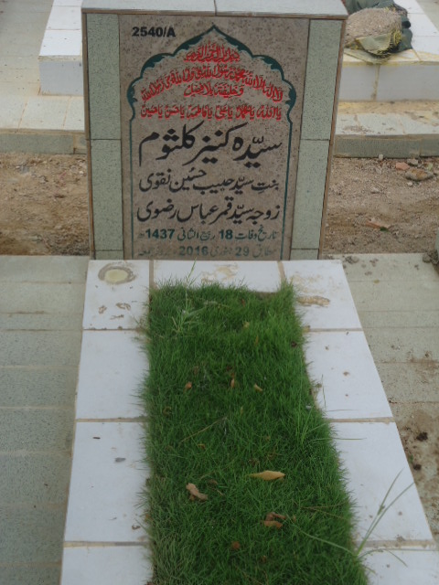 12540 – Syeda Kaneez Kulsoom