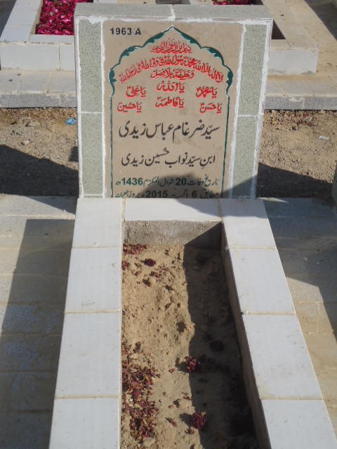 11963 – Syed Zargham Abbas Zaidi