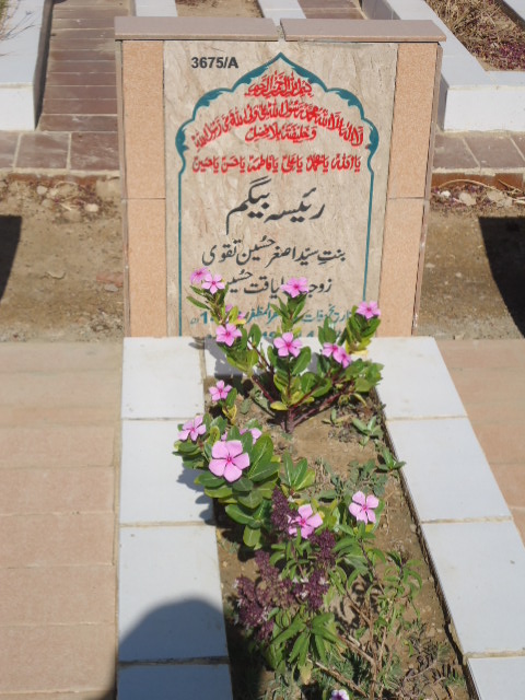 13675 – Raisa Begum
