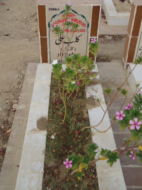 15499 – Kalbay Ali