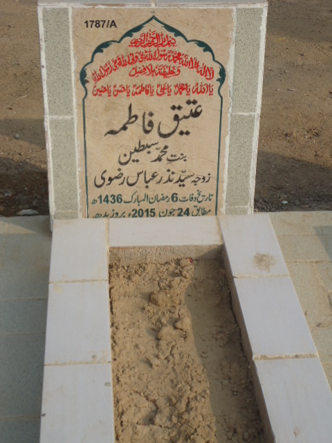 11787 – Ateeq Fatima