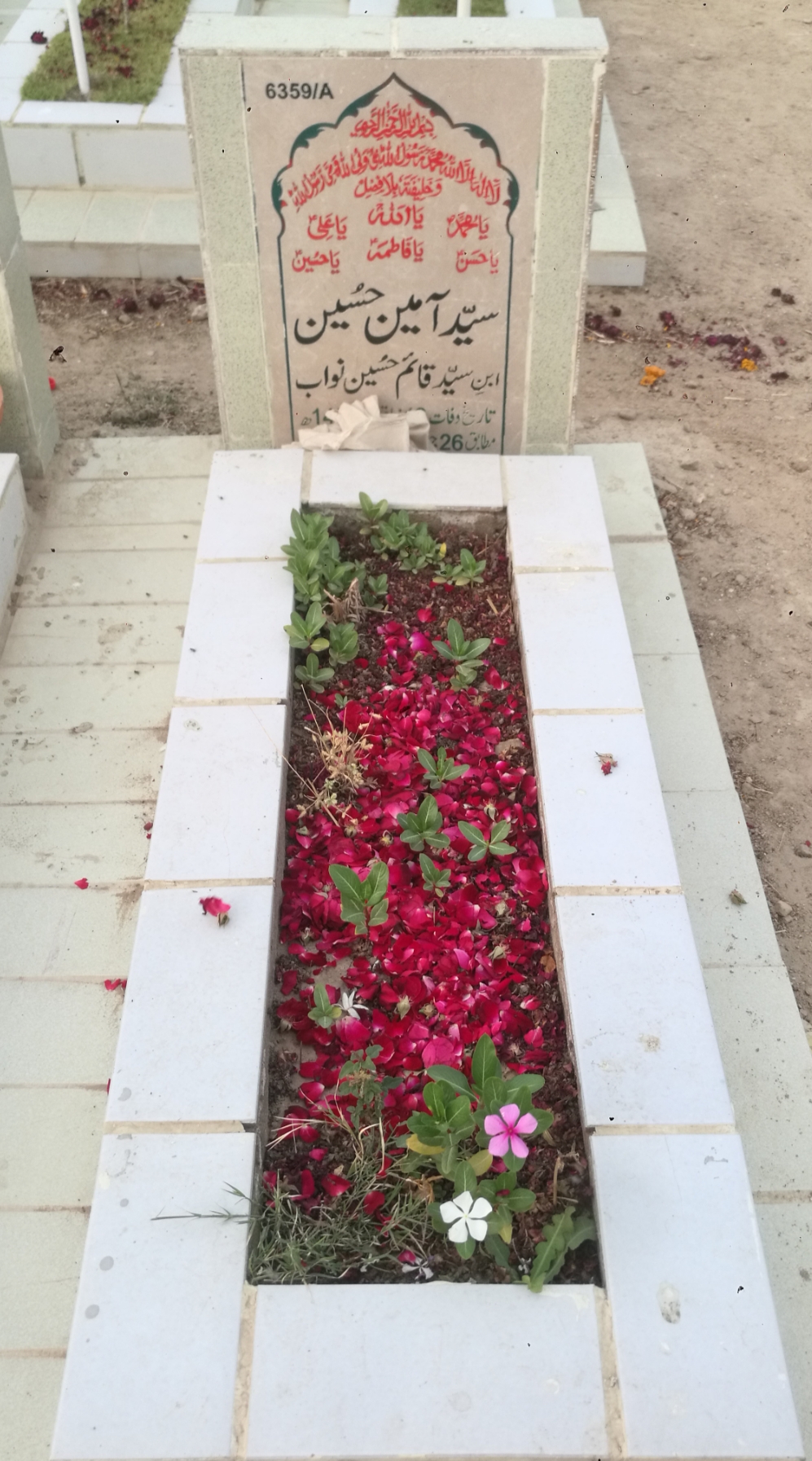 16359 – Ameen Hussain