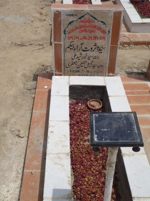 14966 – Syeda Sarwat Arra Begum