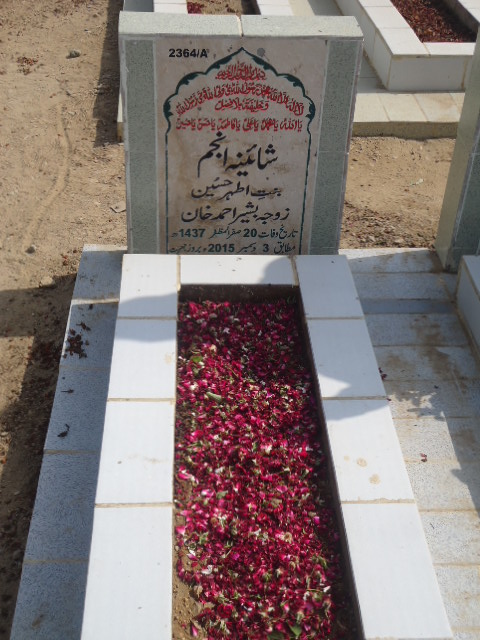 12364 – Shaheena Anjum