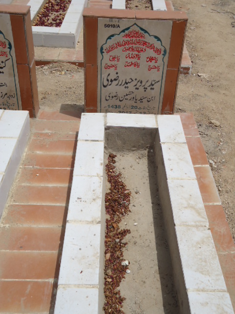 15010 – Syed Parvaiz Haider Rizvi