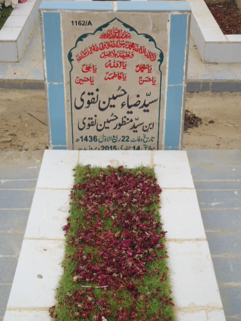 11162 – Syed Zia Hussain Naqvi