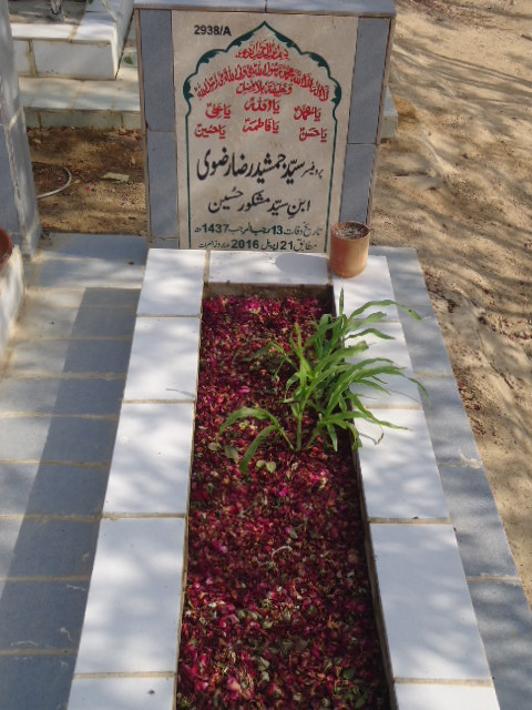 12938 – Prof Syed Jamsheed Raza Rizvi