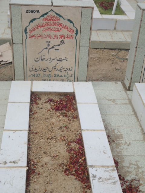 12560 – Shamim Qamar