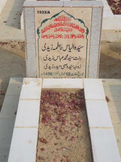 11933 – Syeda Ilyas Fatima Zaidi