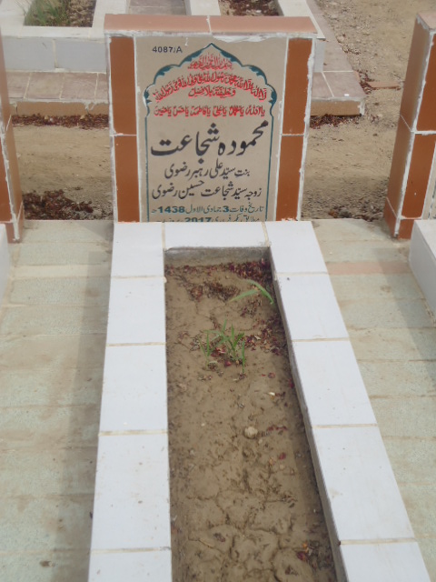 14087 – Mehmooda Shujaat