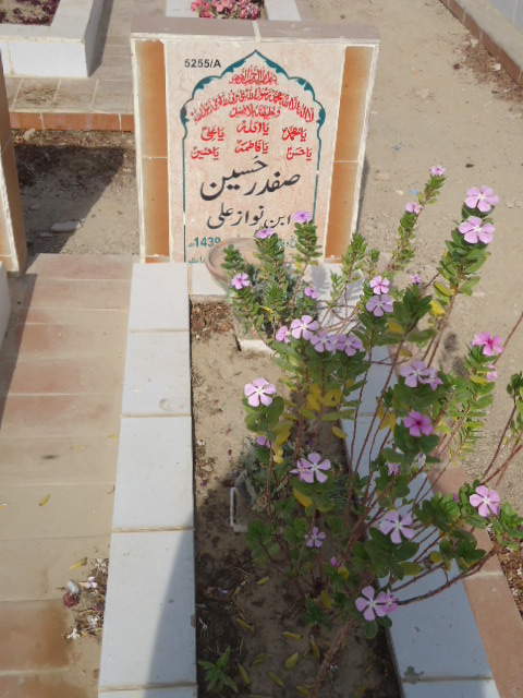 15255 – SAfdar Hussain