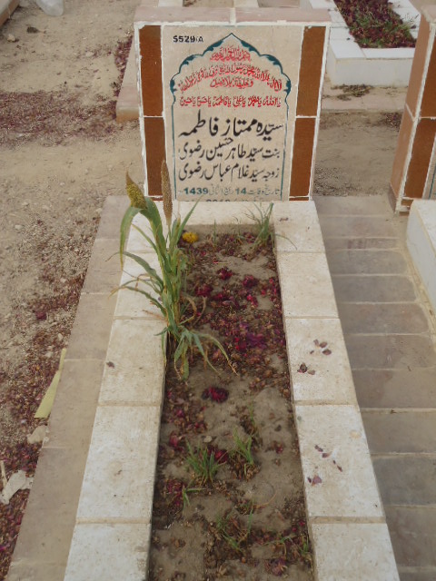 15529 – Syeda Mumtaz Fatima