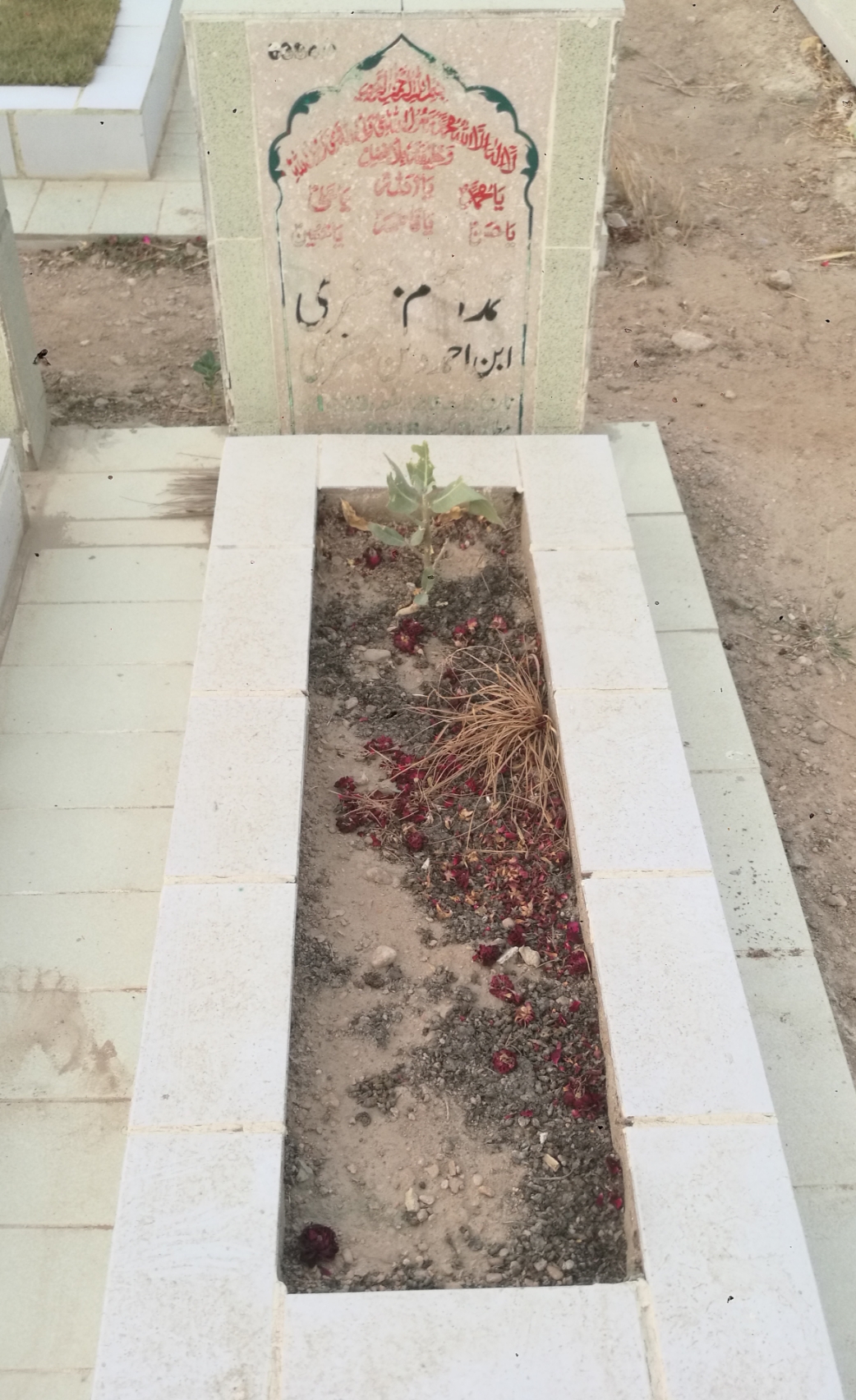 16384 – Muhammad Aslam Jaffery