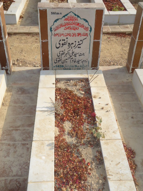 15658 – Kaneez Zehra Naqvi