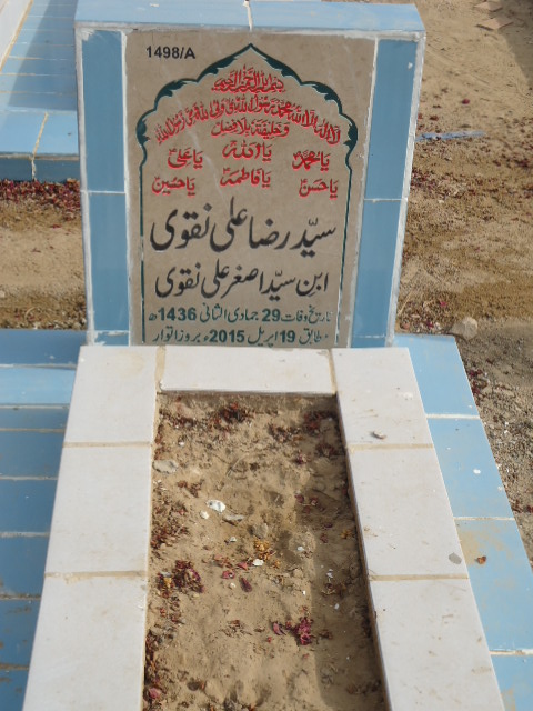 11498 – Syed Raza Ali Naqvi