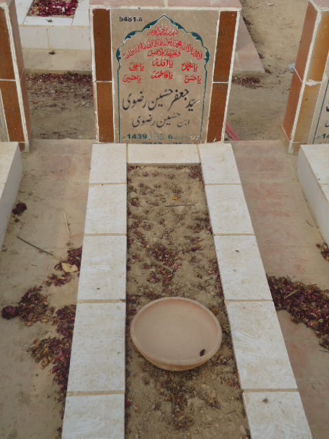 15481 – Syed Jaffar Hussain Rizvi