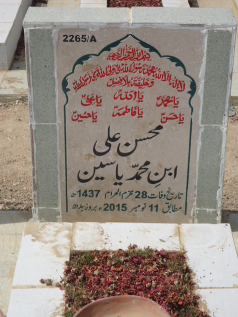 12265 – Mohsin Ali