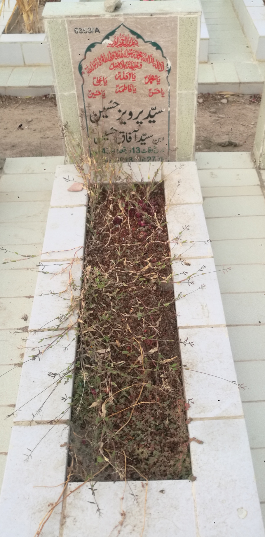 16363 – Syed Parveez Hussain