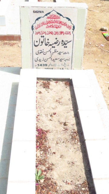 16429 – Syeda Razia Khatoon