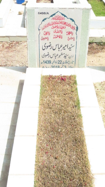 16498 – Syed Ameer Abbas Rizvi
