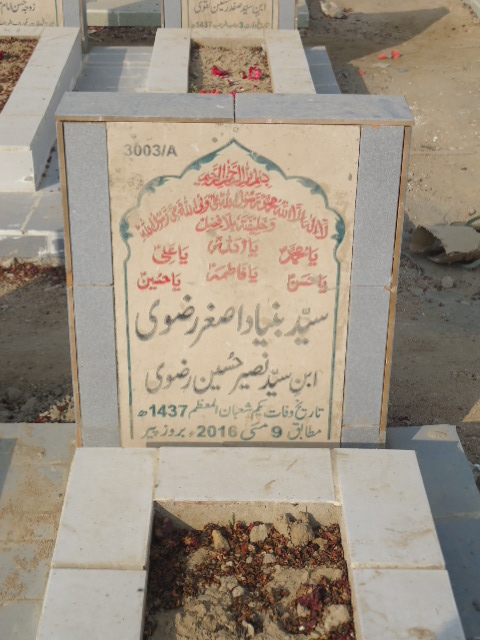 13003 – Syed Bunyaad Asghar Rizvi