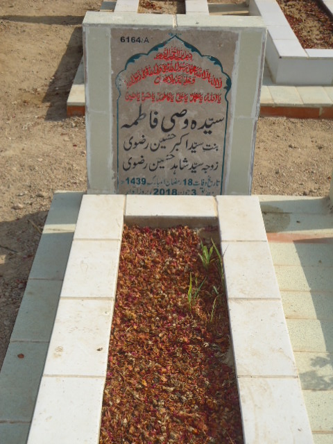 16164 – Syeda Wasi Fatima