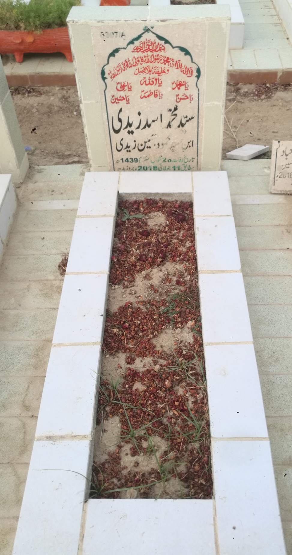 16307 – Syed Muhammad Asad Zaidi