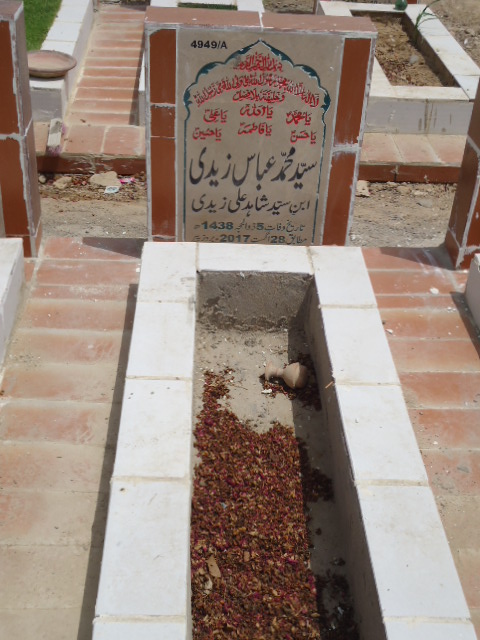 14949 – Syed Muhammad Abbas Zaidi