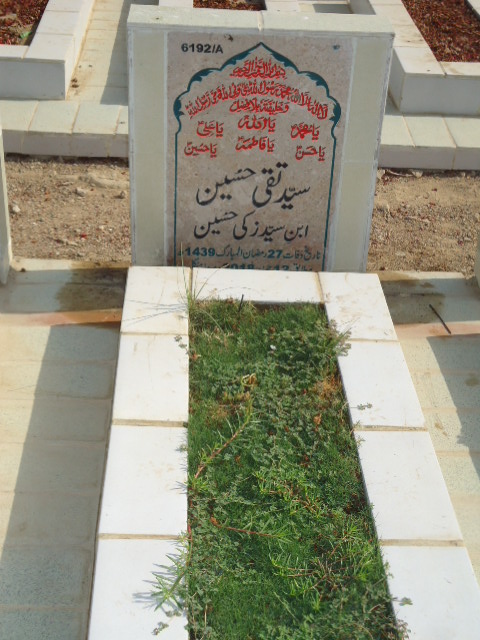 16192 – Syed Taqi Hussain