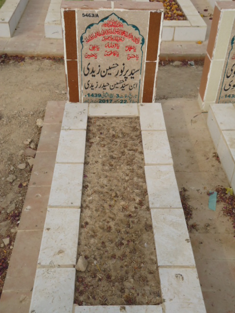 15463 – Syed Purnoor Hussain Zaidi