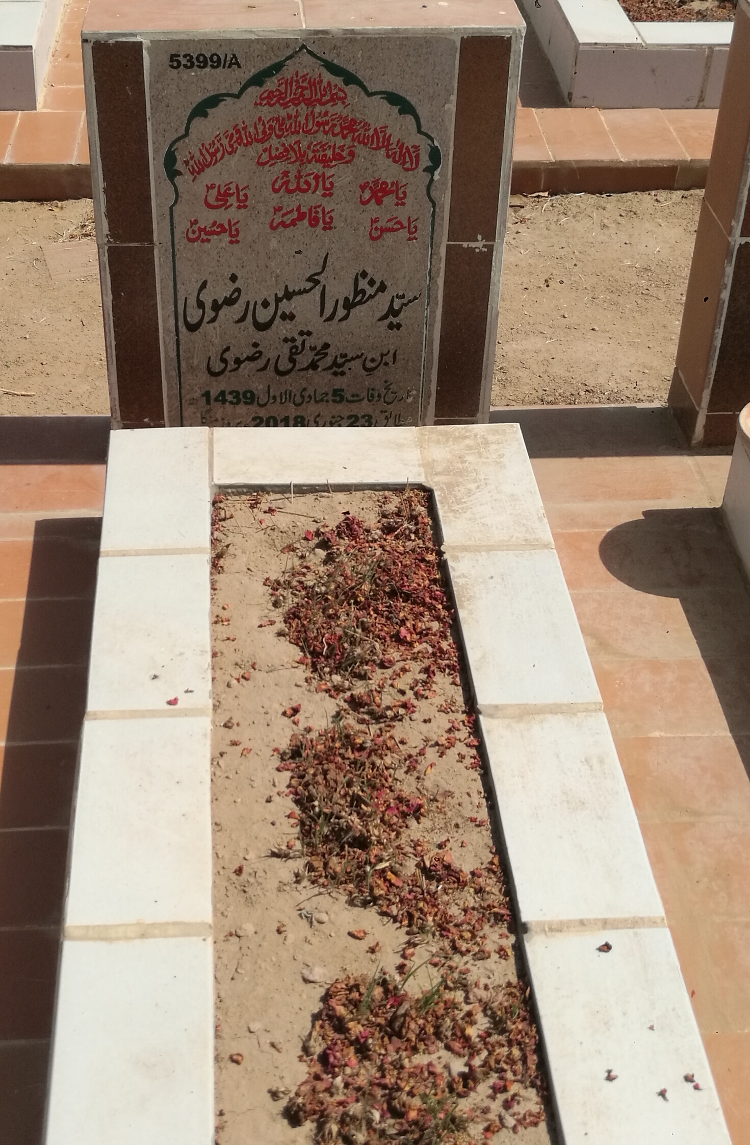 15399 – Syed Manzoor Ul Hussain Rizvi