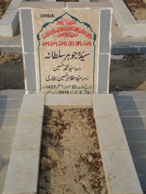 13096 – Syeda Johar Sultana