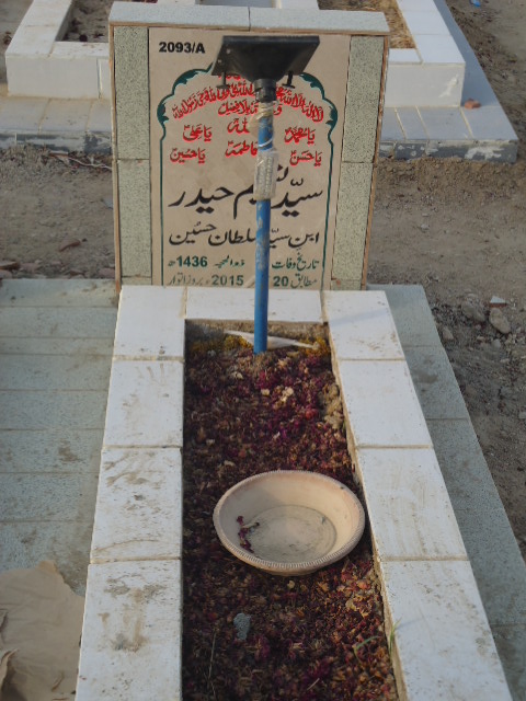 12093 – Syed Naseem Haider