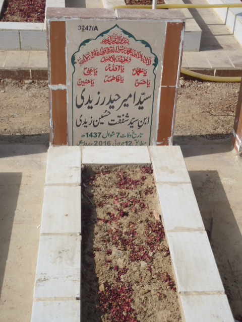 13247 – Syed Ameer Haider Zaidi