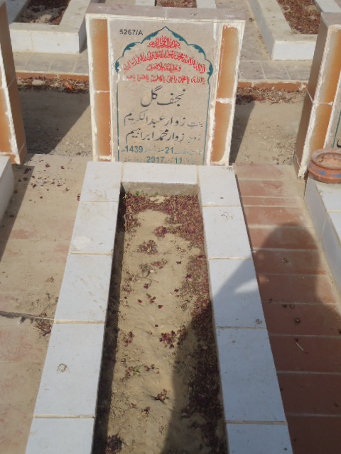 15267 – Najaf Gul