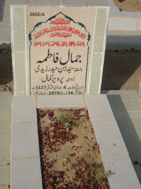 12802 – Jamal Fatima