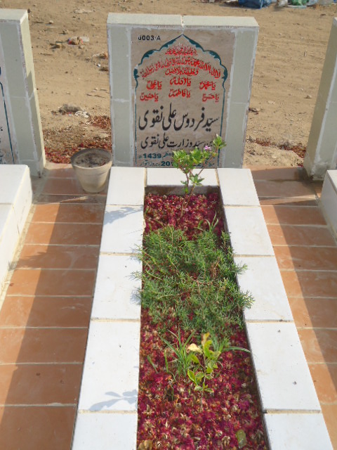 16003 – Syed Firdous Ali Naqvi