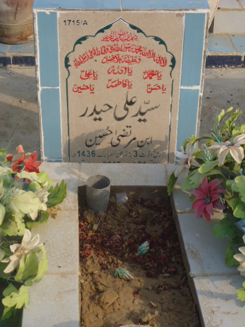 11715 – Syed Ali Haider