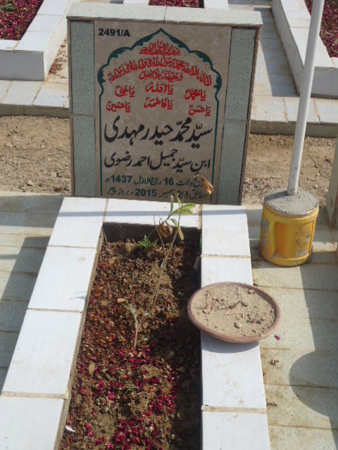 12491 – Syed Muhammad Haider Mehdi