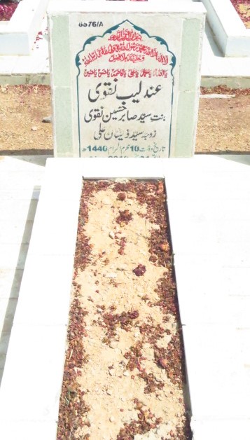 16576 – Andaleeb Naqvi