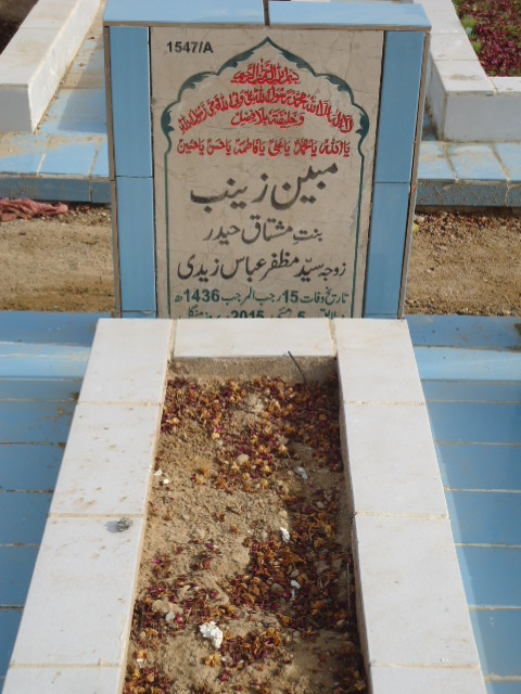 11547 – Mobeen Zainab