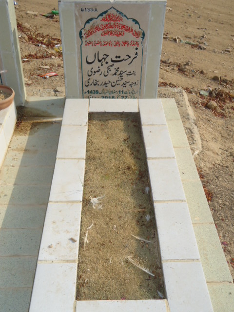 16133 – Farhat Jahan